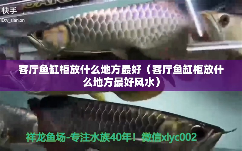 客廳魚缸柜放什么地方最好（客廳魚缸柜放什么地方最好風(fēng)水）