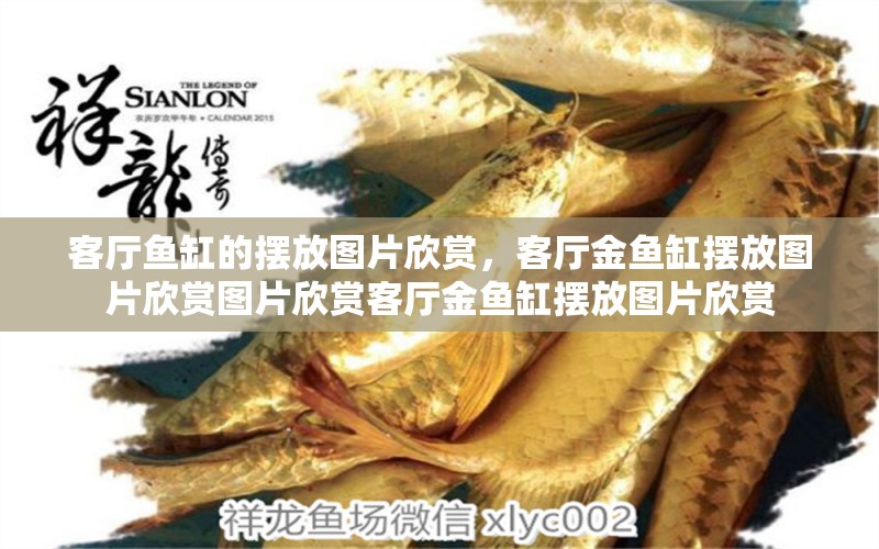 客廳魚(yú)缸的擺放圖片欣賞，客廳金魚(yú)缸擺放圖片欣賞圖片欣賞客廳金魚(yú)缸擺放圖片欣賞 白子銀龍苗（黃化銀龍苗） 第1張