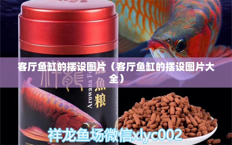 客廳魚缸的擺設(shè)圖片（客廳魚缸的擺設(shè)圖片大全）