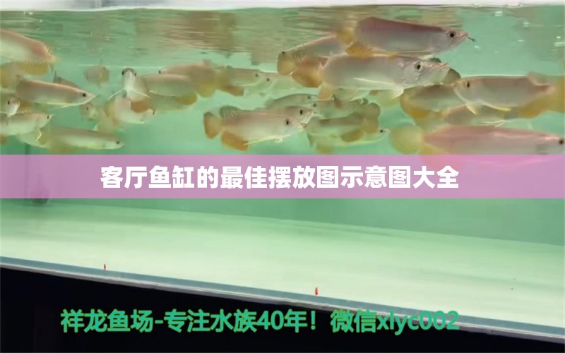 客廳魚缸的最佳擺放圖示意圖大全 