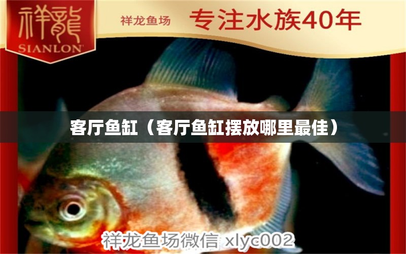 客廳魚缸（客廳魚缸擺放哪里最佳）