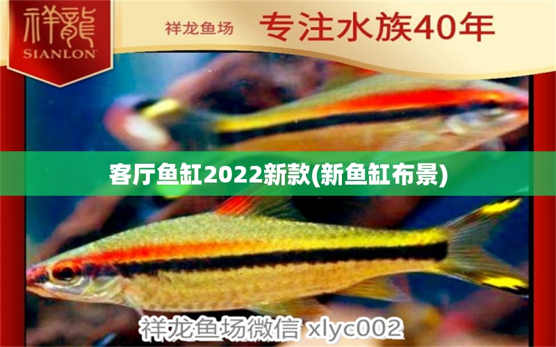 客廳魚(yú)缸2022新款(新魚(yú)缸布景) 喂食器