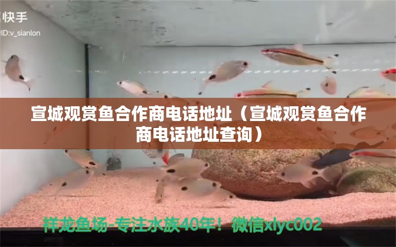 宣城觀賞魚合作商電話地址（宣城觀賞魚合作商電話地址查詢）