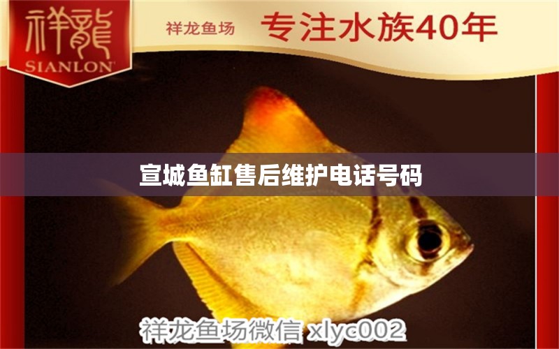 宣城魚缸售后維護(hù)電話號(hào)碼