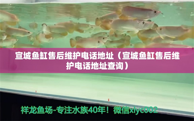 宣城魚缸售后維護(hù)電話地址（宣城魚缸售后維護(hù)電話地址查詢） 其他品牌魚缸