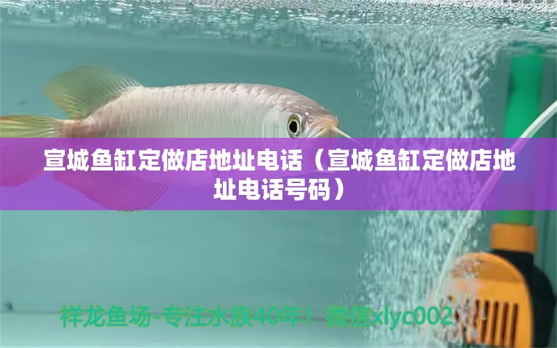 宣城魚缸定做店地址電話（宣城魚缸定做店地址電話號碼） 祥龍水族醫(yī)院