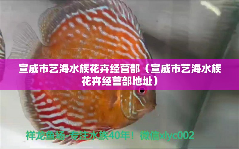 宣威市藝海水族花卉經(jīng)營(yíng)部（宣威市藝海水族花卉經(jīng)營(yíng)部地址） 全國(guó)水族館企業(yè)名錄