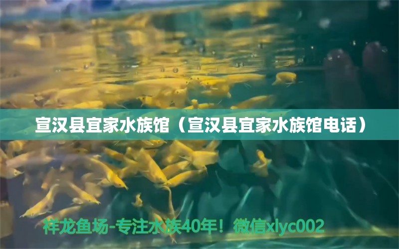 宣漢縣宜家水族館（宣漢縣宜家水族館電話） 全國水族館企業(yè)名錄