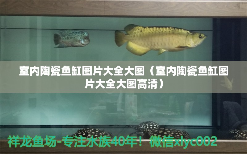 室內(nèi)陶瓷魚缸圖片大全大圖（室內(nèi)陶瓷魚缸圖片大全大圖高清）