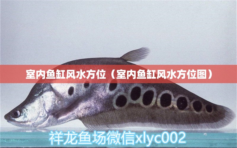 室內魚缸風水方位（室內魚缸風水方位圖） 魚缸風水