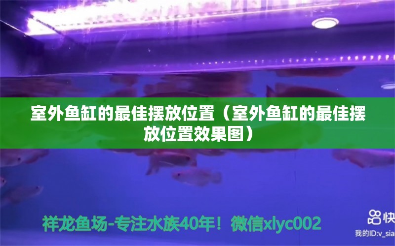 室外魚缸的最佳擺放位置（室外魚缸的最佳擺放位置效果圖）