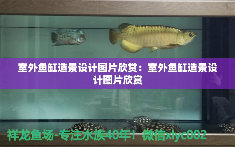 室外魚缸造景設(shè)計圖片欣賞：室外魚缸造景設(shè)計圖片欣賞