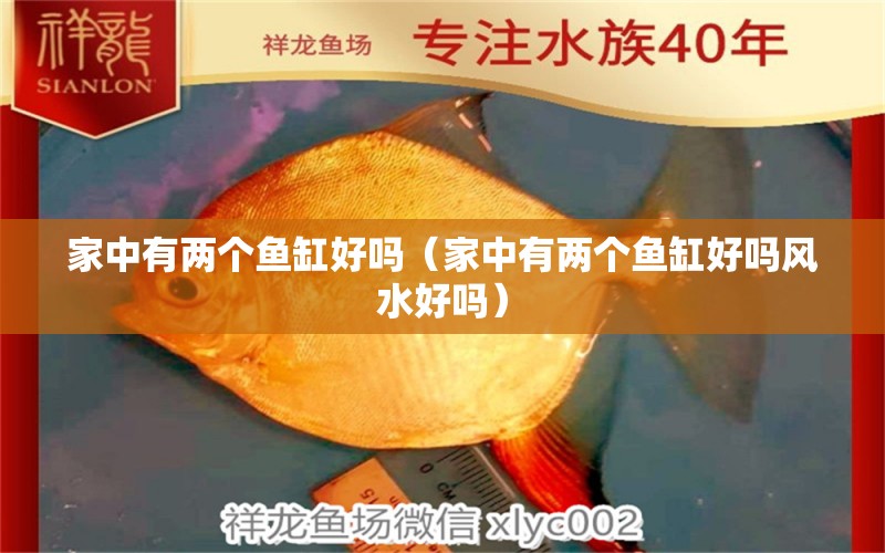 家中有兩個魚缸好嗎（家中有兩個魚缸好嗎風(fēng)水好嗎） 魚缸風(fēng)水