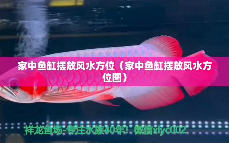 家中魚缸擺放風(fēng)水方位（家中魚缸擺放風(fēng)水方位圖）