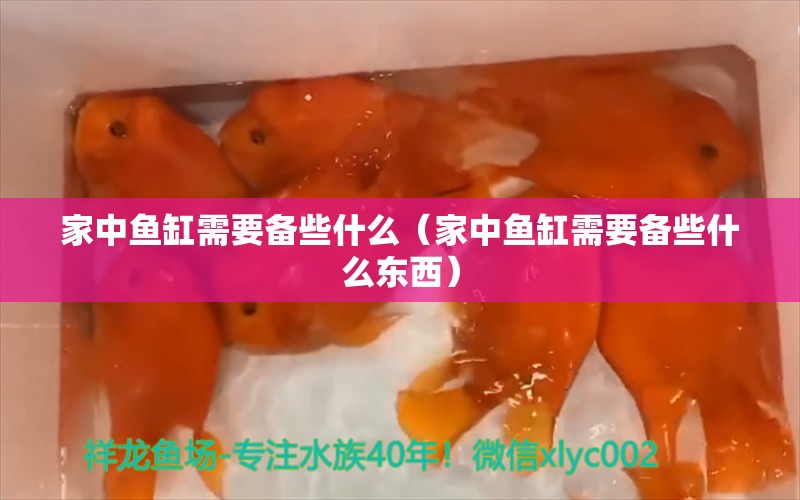 家中魚缸需要備些什么（家中魚缸需要備些什么東西）