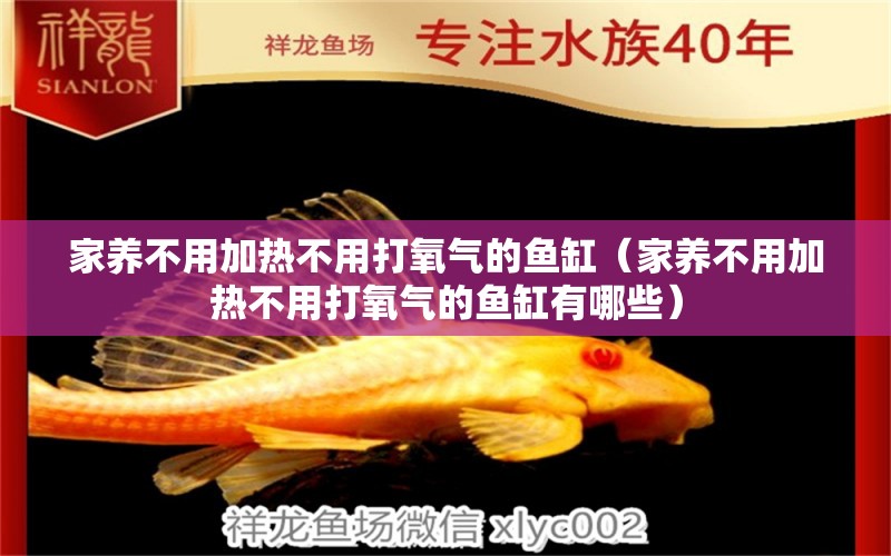 家養(yǎng)不用加熱不用打氧氣的魚(yú)缸（家養(yǎng)不用加熱不用打氧氣的魚(yú)缸有哪些） 斯維尼關(guān)刀魚(yú)