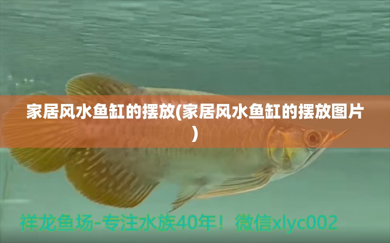 家居風(fēng)水魚缸的擺放(家居風(fēng)水魚缸的擺放圖片) 魚缸風(fēng)水