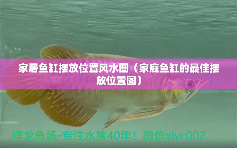 家居魚(yú)缸擺放位置風(fēng)水圖（家庭魚(yú)缸的最佳擺放位置圖） 魚(yú)缸風(fēng)水