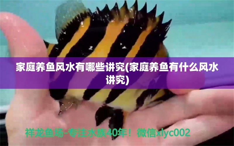 家庭養(yǎng)魚風(fēng)水有哪些講究(家庭養(yǎng)魚有什么風(fēng)水講究) 魚缸風(fēng)水