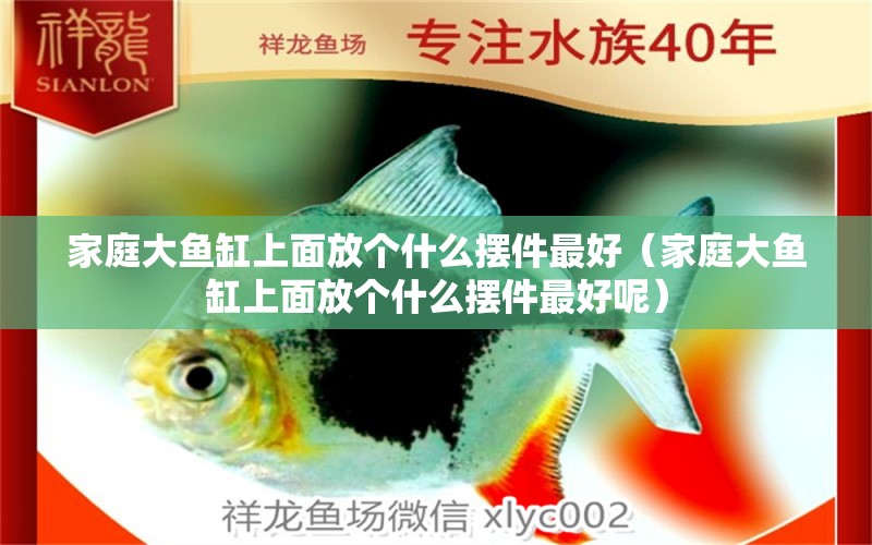 家庭大魚缸上面放個什么擺件最好（家庭大魚缸上面放個什么擺件最好呢）