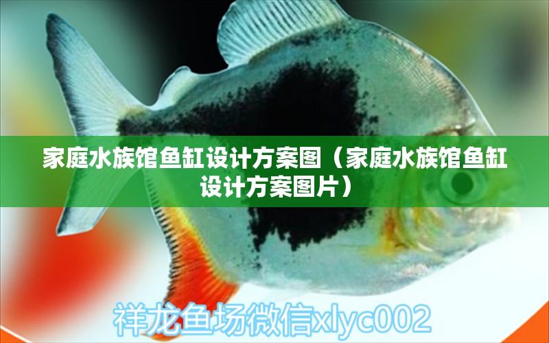 家庭水族館魚缸設計方案圖（家庭水族館魚缸設計方案圖片）