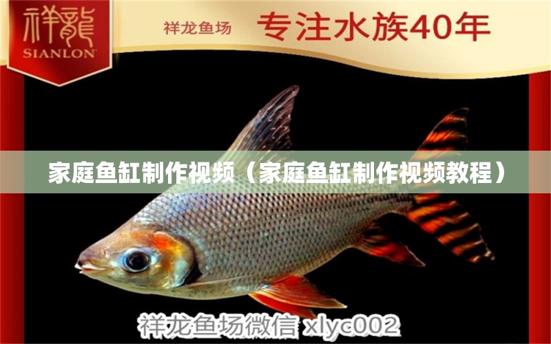 家庭魚缸制作視頻（家庭魚缸制作視頻教程） 龍魚芯片掃碼器