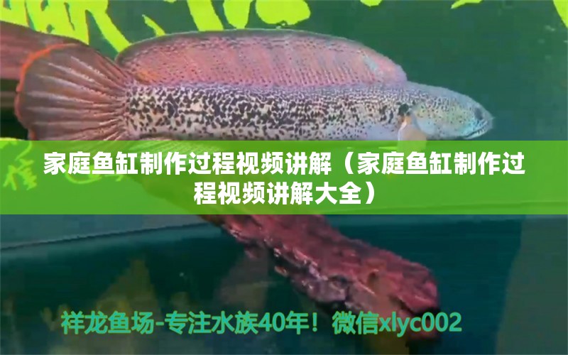 家庭魚缸制作過程視頻講解（家庭魚缸制作過程視頻講解大全）