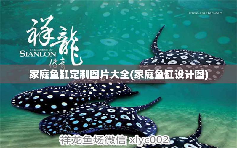 家庭魚缸定制圖片大全(家庭魚缸設計圖) 羅漢魚批發(fā)