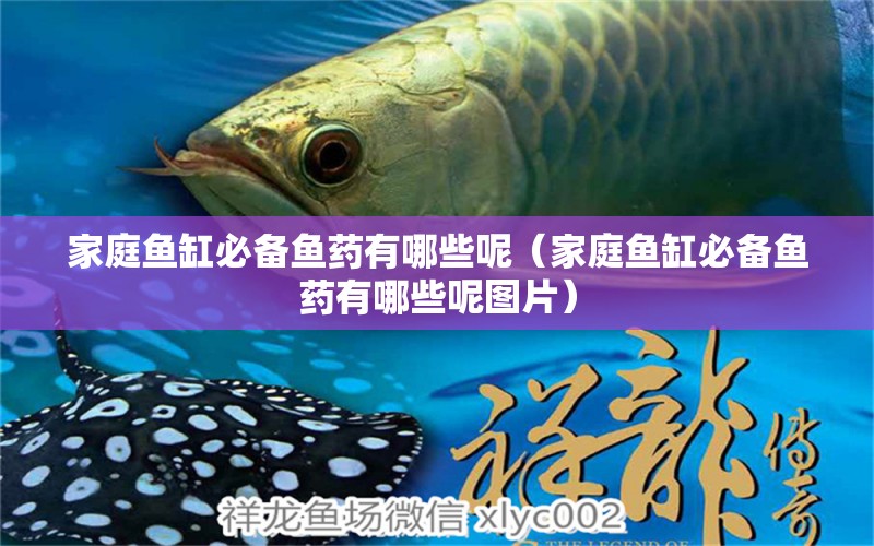 家庭魚缸必備魚藥有哪些呢（家庭魚缸必備魚藥有哪些呢圖片）