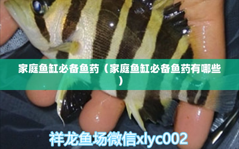 家庭魚缸必備魚藥（家庭魚缸必備魚藥有哪些）