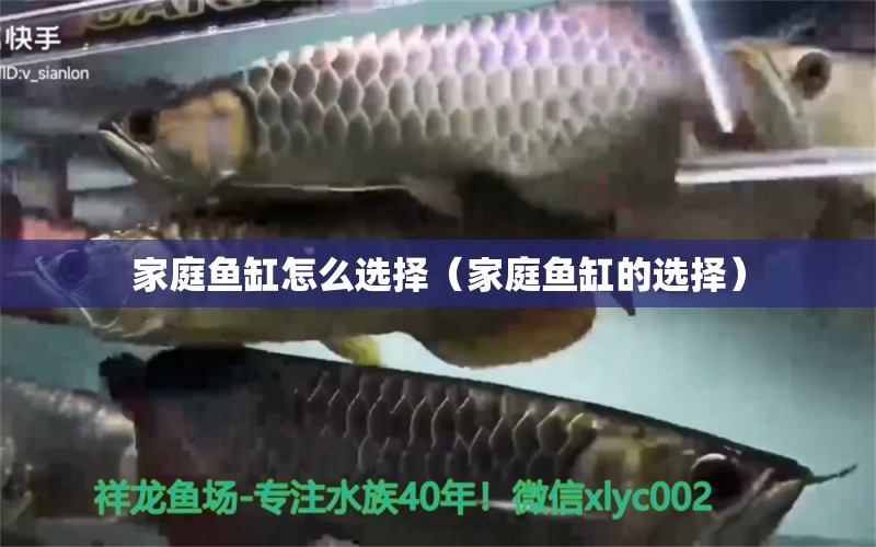 家庭魚缸怎么選擇（家庭魚缸的選擇）