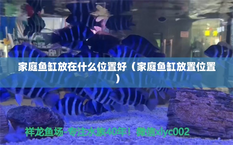 家庭魚缸放在什么位置好（家庭魚缸放置位置）