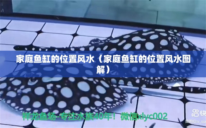 家庭魚(yú)缸的位置風(fēng)水（家庭魚(yú)缸的位置風(fēng)水圖解） 魚(yú)缸風(fēng)水