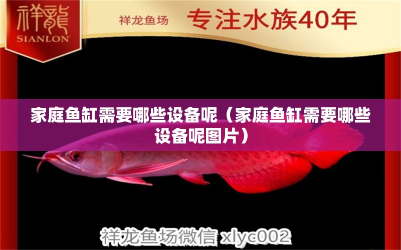 家庭魚缸需要哪些設(shè)備呢（家庭魚缸需要哪些設(shè)備呢圖片）