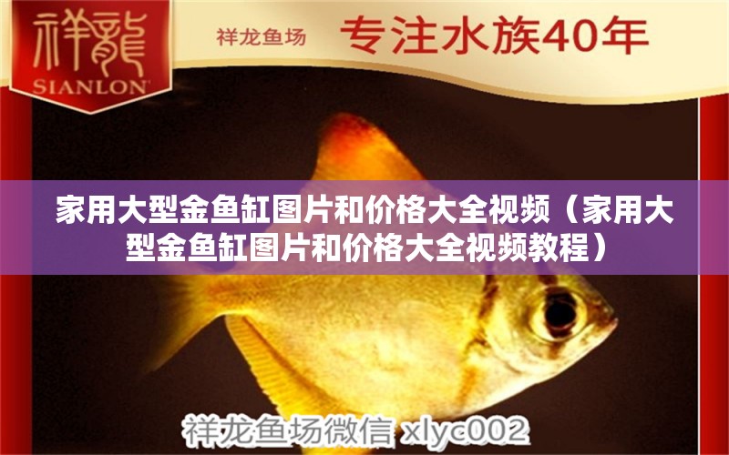 家用大型金魚缸圖片和價格大全視頻（家用大型金魚缸圖片和價格大全視頻教程）