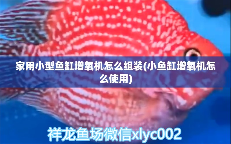 家用小型魚缸增氧機(jī)怎么組裝(小魚缸增氧機(jī)怎么使用) 金龍魚糧