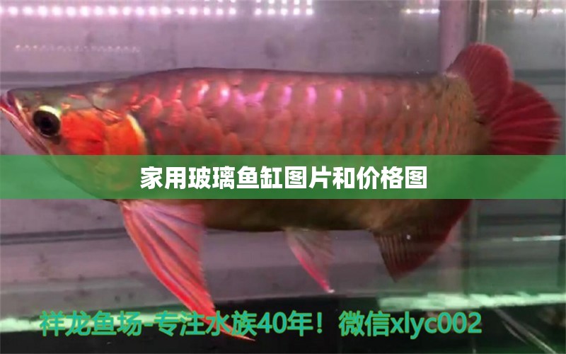 家用玻璃魚缸圖片和價格圖