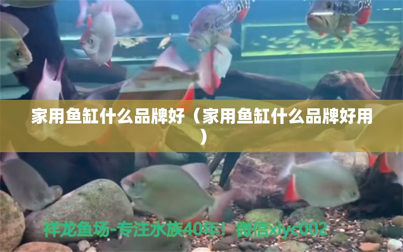 家用魚缸什么品牌好（家用魚缸什么品牌好用）