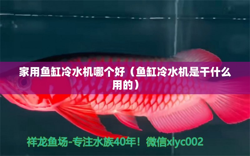 家用魚(yú)缸冷水機(jī)哪個(gè)好（魚(yú)缸冷水機(jī)是干什么用的）