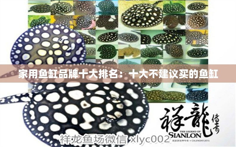 家用魚缸品牌十大排名：十大不建議買的魚缸