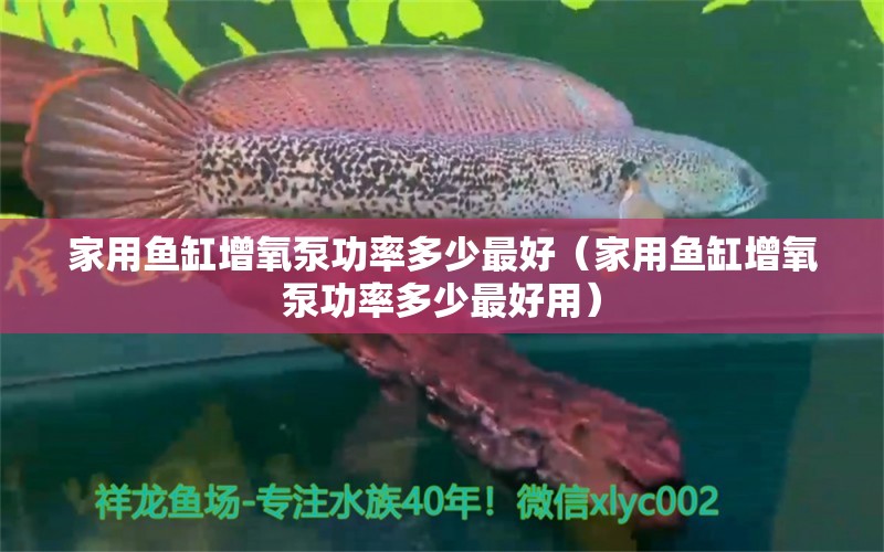 家用魚缸增氧泵功率多少最好（家用魚缸增氧泵功率多少最好用） 祥龍水族醫(yī)院