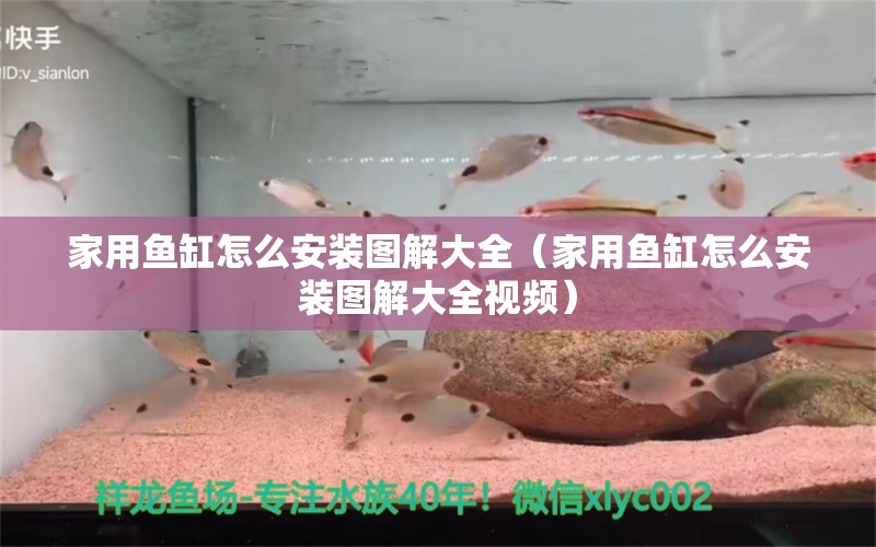 家用魚缸怎么安裝圖解大全（家用魚缸怎么安裝圖解大全視頻）