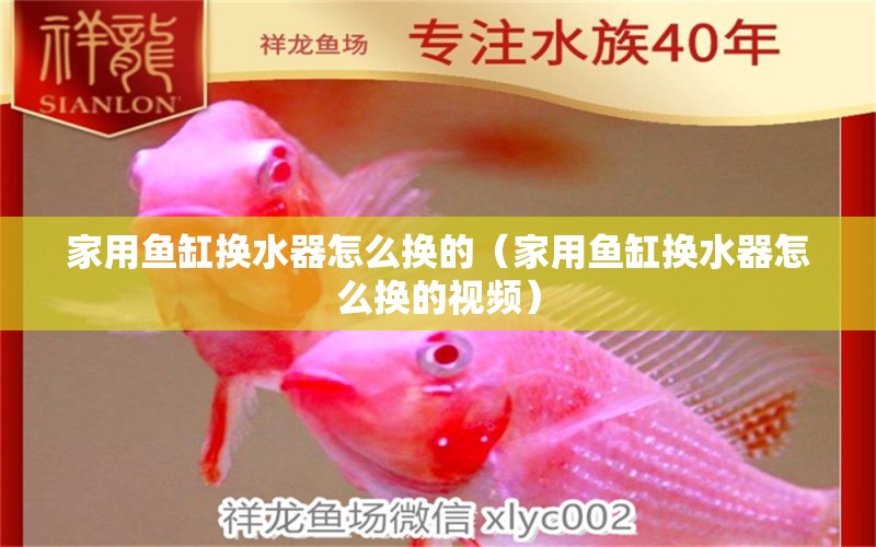 家用魚缸換水器怎么換的（家用魚缸換水器怎么換的視頻） 祥龍水族醫(yī)院