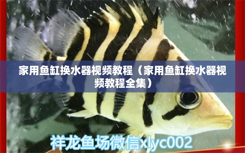 家用魚缸換水器視頻教程（家用魚缸換水器視頻教程全集）