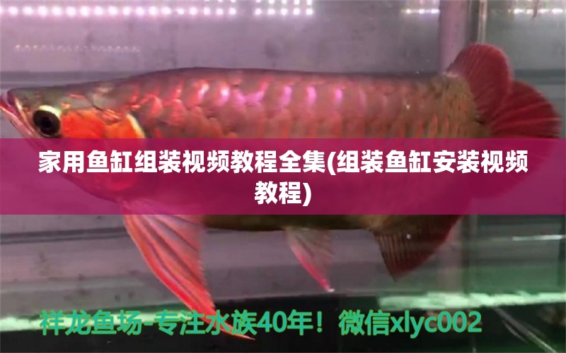 家用魚缸組裝視頻教程全集(組裝魚缸安裝視頻教程) 廣州水族器材濾材批發(fā)市場