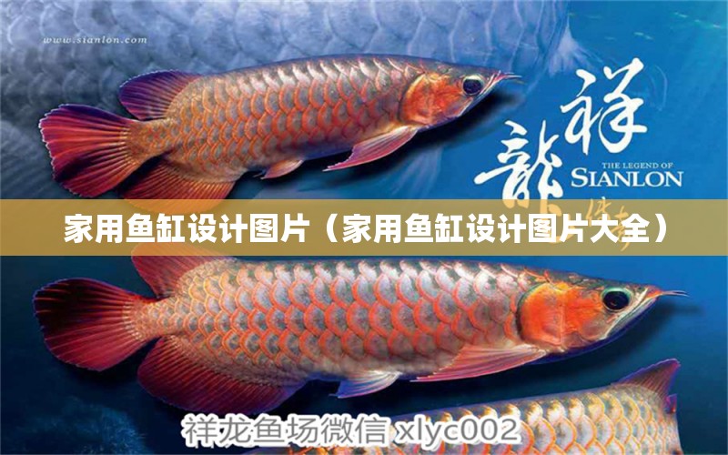 家用魚(yú)缸設(shè)計(jì)圖片（家用魚(yú)缸設(shè)計(jì)圖片大全） 量子養(yǎng)魚(yú)技術(shù)