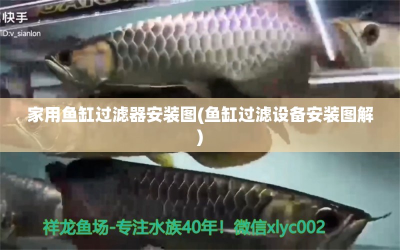 家用魚缸過(guò)濾器安裝圖(魚缸過(guò)濾設(shè)備安裝圖解) 過(guò)濾設(shè)備 第1張