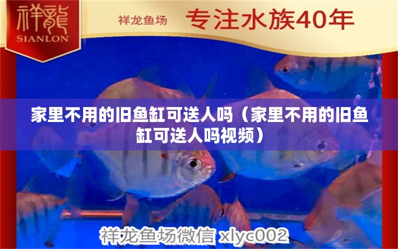 家里不用的舊魚缸可送人嗎（家里不用的舊魚缸可送人嗎視頻） 蘇虎