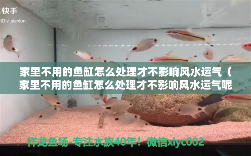 家里不用的魚缸怎么處理才不影響風水運氣（家里不用的魚缸怎么處理才不影響風水運氣呢）