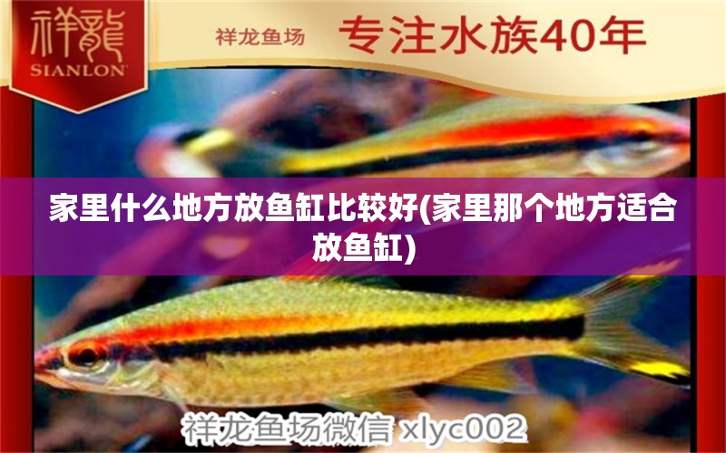 家里什么地方放魚缸比較好(家里那個地方適合放魚缸) 海水魚（海水魚批發(fā)）